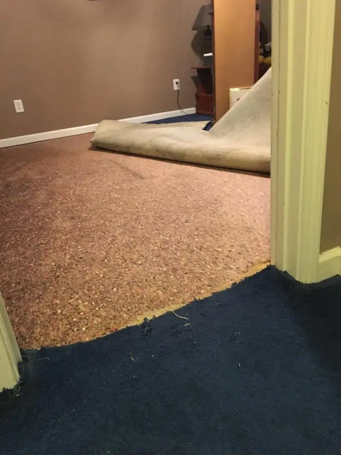 Carpet pad removal revealing water damage during Water Mitigation Services in East Lake