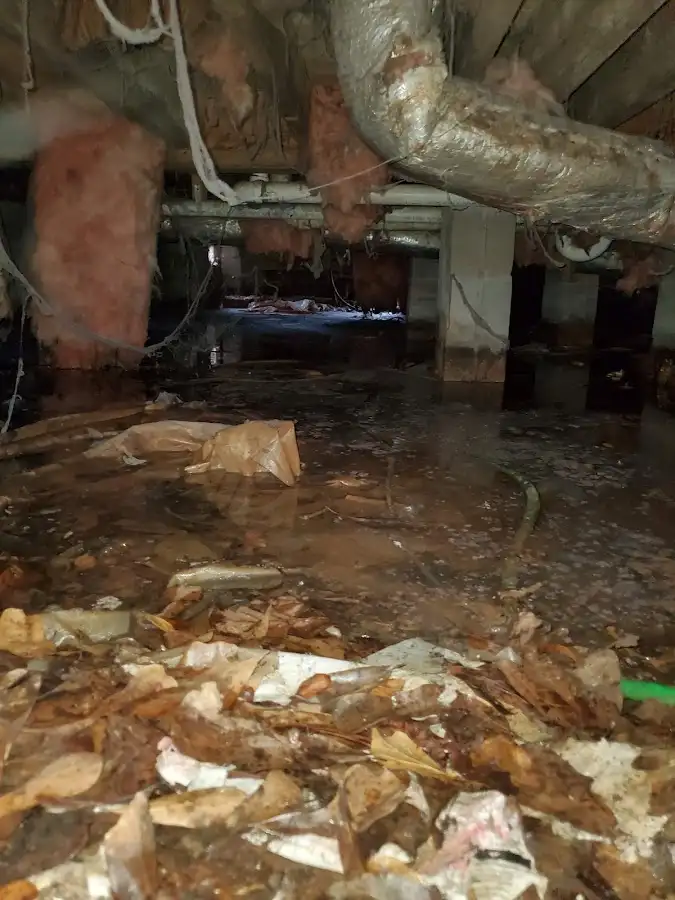 Crawl space flood assessment for Commercial Water Damage Restoration in East Lake